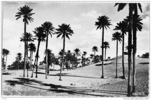 17 - COLOMB BECHAR - Les Dunes - 1957 - éd. Argence