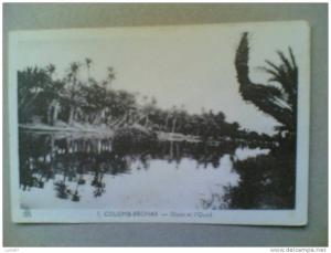 CPA DE COLOMB-BECHAR oasis et l'Oued