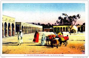 ALGERIE COLOMB BECHAR  MULES CHARGEES.