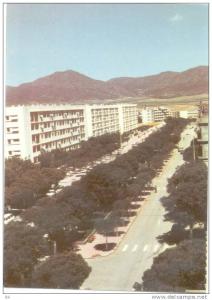 Algérie - Batna  les allées Ben Boulaïd