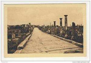 ruines romaines de timgad  ( près de batna ) voie du cardo maximus nord