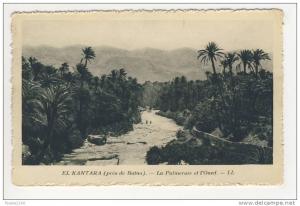 el kantara ( près de batna ) la palmeraie et l' oued
