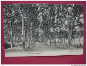 BATNA LES ALLEES D AUMALE