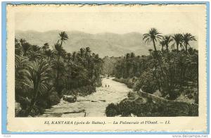 CARTE POSTALE EL KANTARA PRES BATNA LA PALMERAIE ET OUED . LL