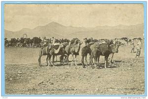 CARTE POSTALE 62 BATNA  LE PIC DES CEDRES CARAVANE . ND PHOT .