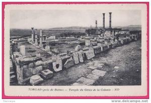 1046  ALGERIE   TIMGAD  près de Batna  Temple du Génie de lma Colonie