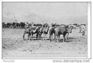 BATNA  LE PIC DES EDRES  CARAVANE