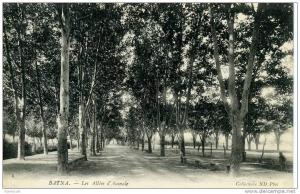 CPA...DE BATNA...LES ALLEES D AUMALE...