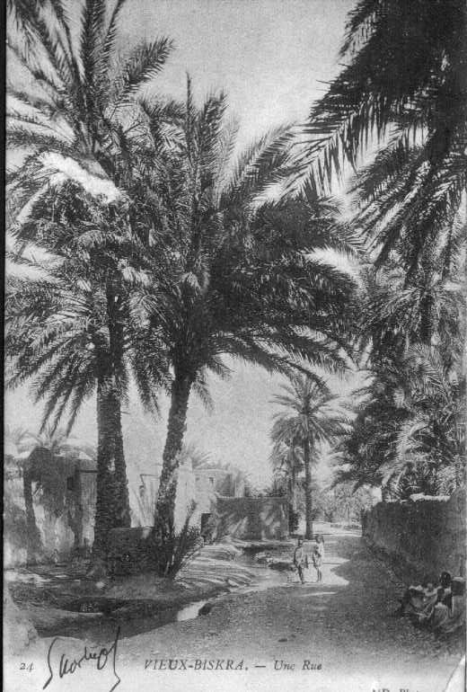 VIEUX BISKRA  le 09.11.1905 UNE RUE  ¤ NEURDEIN Dest. Baboux  ¤  ALGERIE ALGERIA ALGERIEN ARGELIA ALGERIJE ¤387