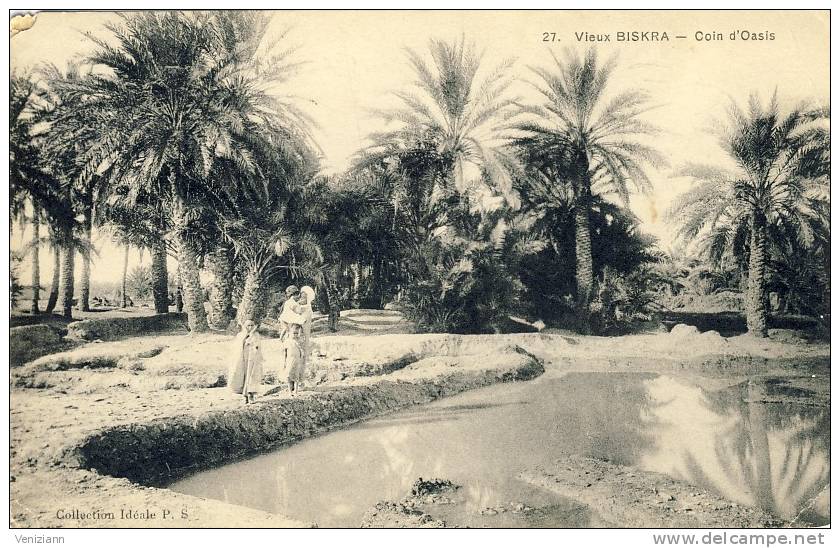 Vieux BISKRA - Coin d'Oasis, animé