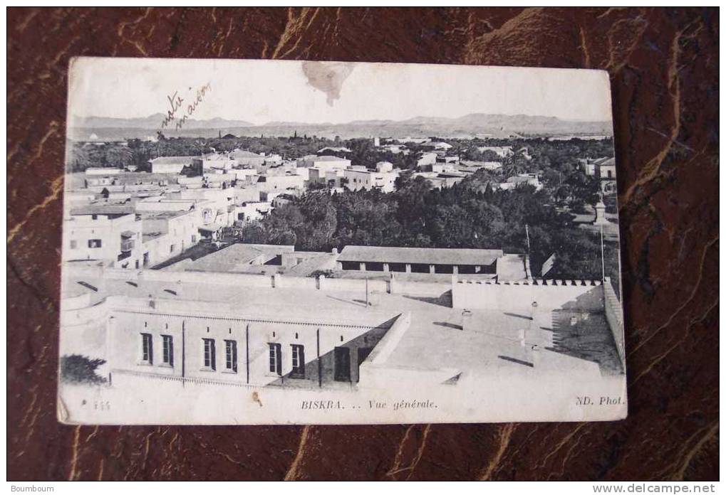 CPA--GG--  ALGERIE - biskra vue generale