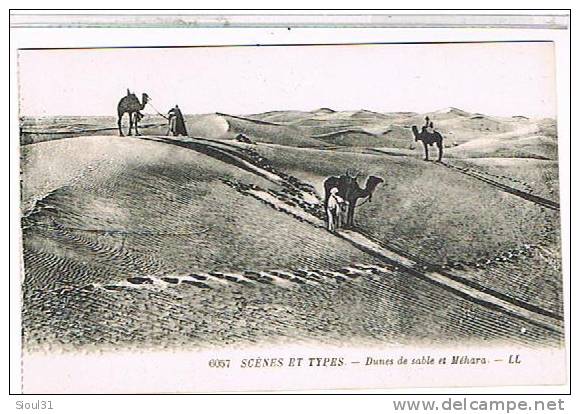 BISKRA    DUNES DE SABLE ET MEHARA....SUPER ETAT