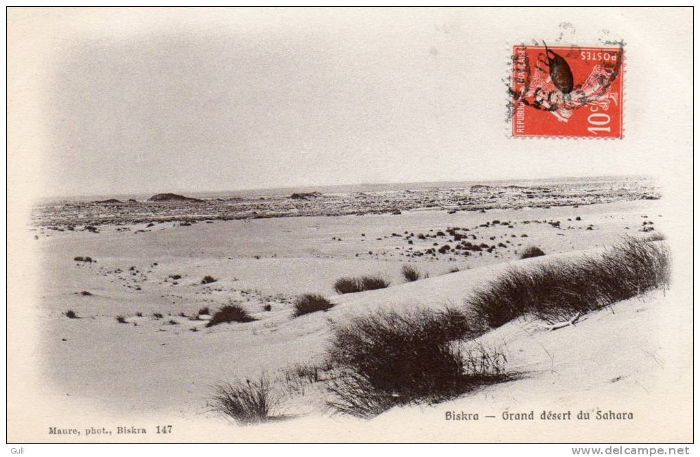 Algérie > Biskra- Grand désert du Sahara (Année1909 - Editions Maure photo Biskra 147)*PRIX FIXE