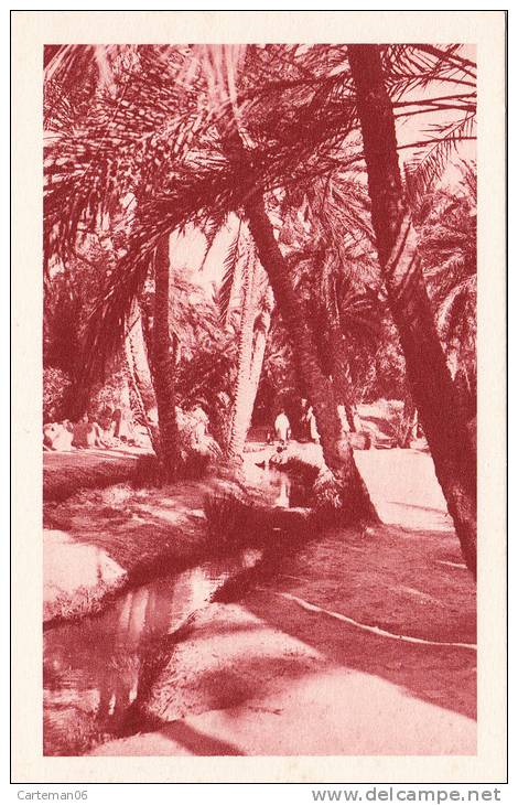 Algérie - Dans le vieux Biskra - Editeur S.P.G.A