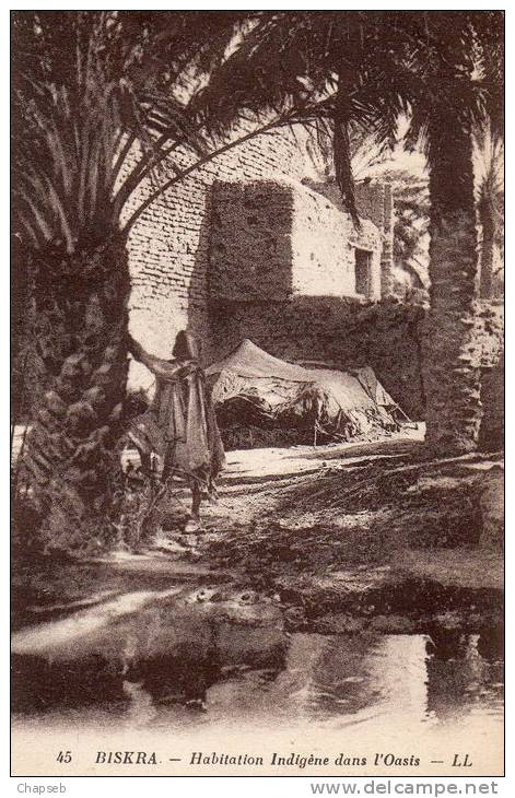 biskra habitation indigène dans l oasis animée