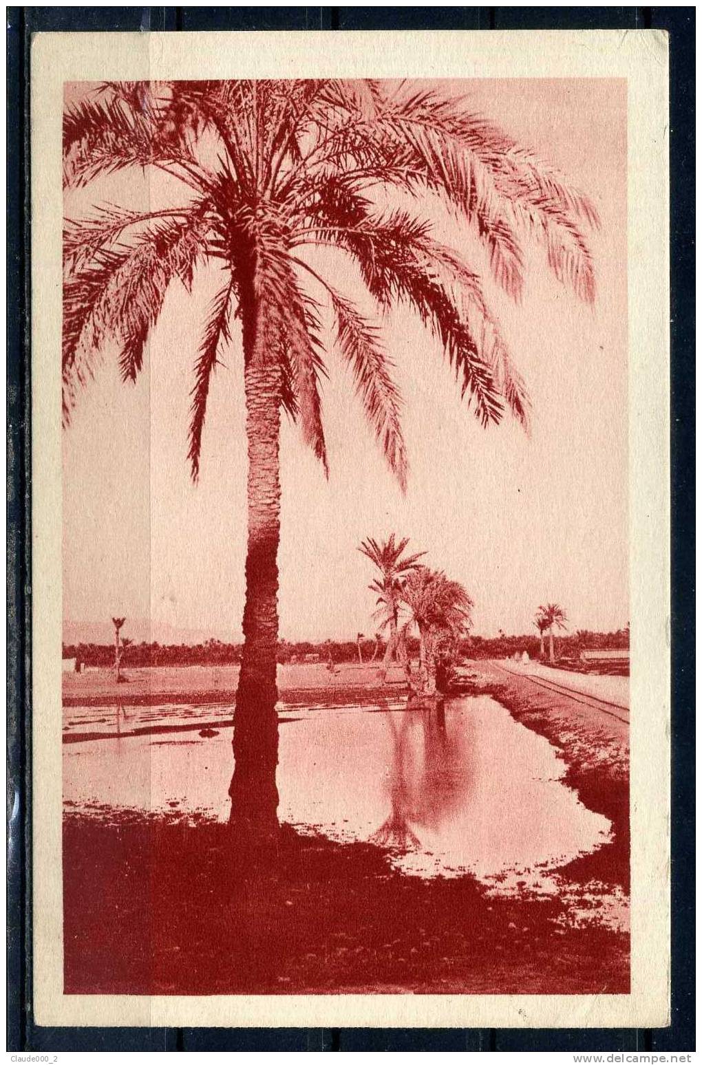 BISKRA .Route du fort turc . Voir Recto - Verso  (K185)