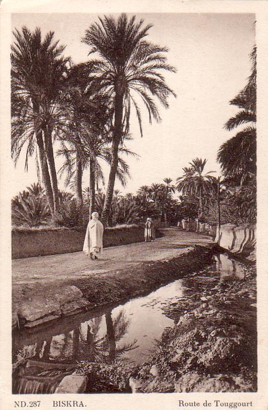 Algérie - Biskra - route de Touggourt