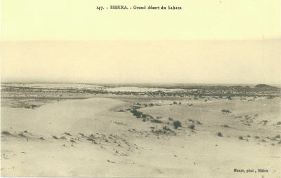 ALGERIE BISKRA GRAND DESERT DU SAHARA