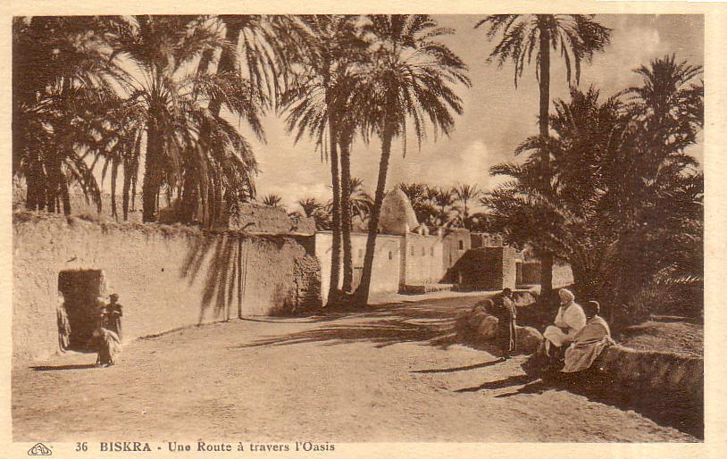 Algérie - Biskra - uen route à travers l'oasis