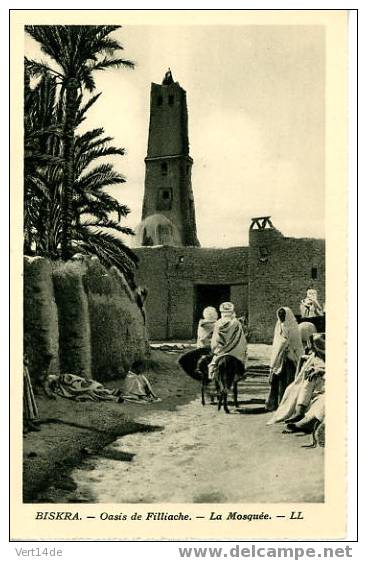 Algérie-CPA-Biskra- Oasis de Filliache-la Mosquée--Animation-