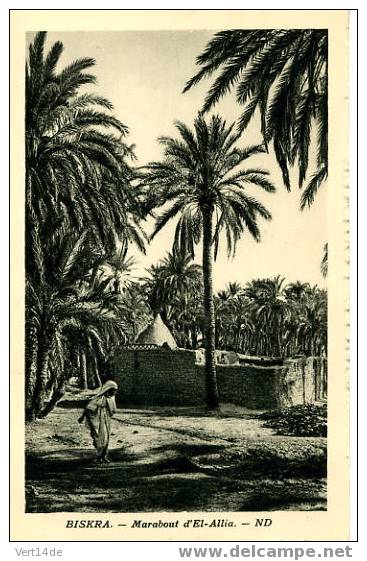 Algérie-CPA-Biskra- Marabout d´El-Allia--Animation-