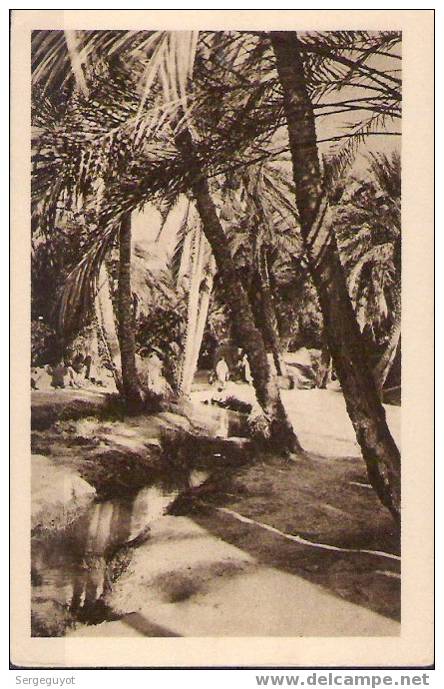 Biskra oasis de ... - (c1192)