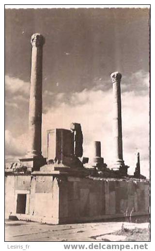 CP - PHOTO - ENVIRONS DE BISKRA - TIMGAD - FORUM - COLONNES - BOSSUET