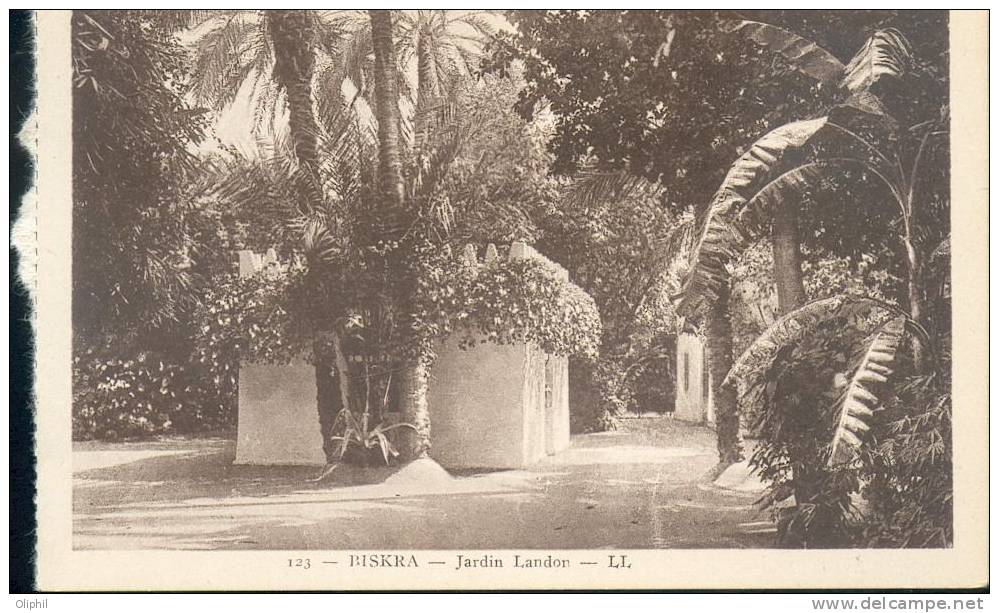 ALGERIE BISKRA JARDIN LANDON