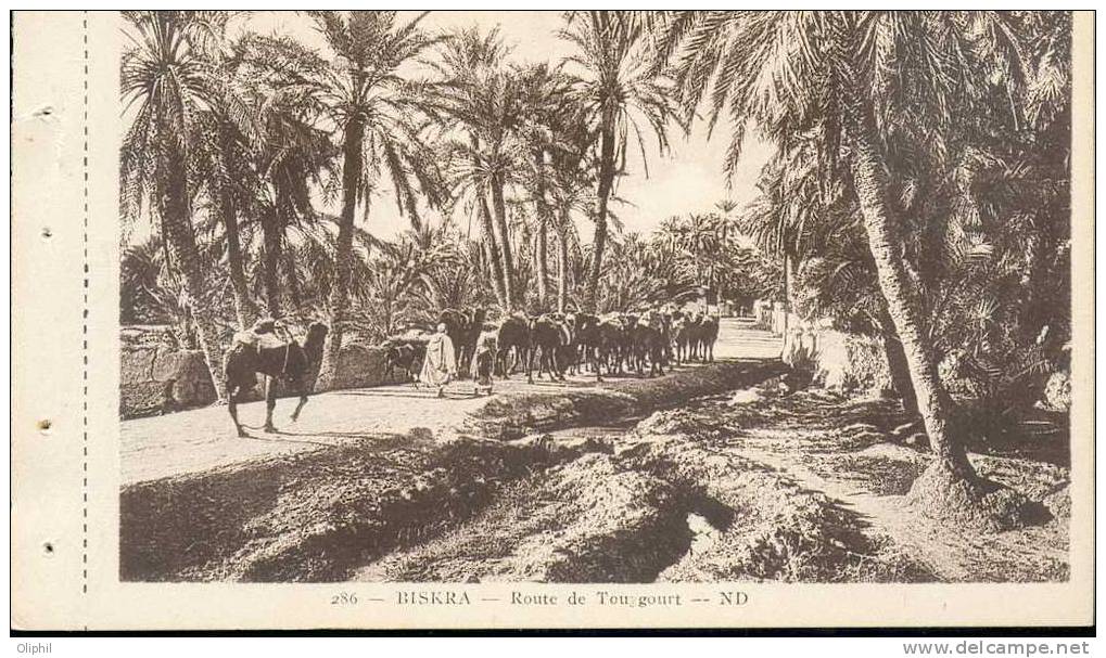 ALGERIE BISKRA ROUTE DE TOUGGOURT