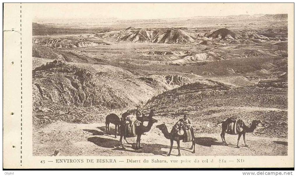 ALGERIE BISKRA DESERT DU SAHARA VUE PRISE DU COL D SFA