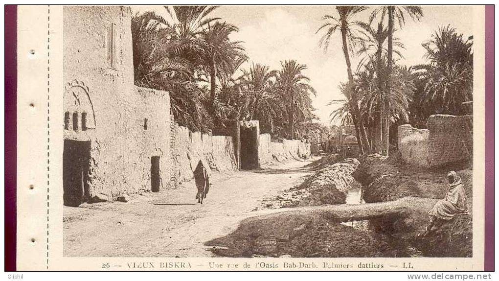 ALGERIE VIEUX BISKRA UNE RUE DE L'OASIS BAB DARB PALMIERS DATTIERS