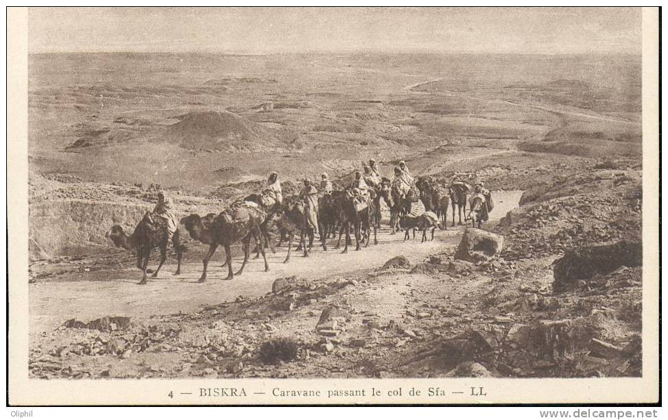 ALGERIE BISKRA CARAVANE PASSANT SUR LE COL DE SFA