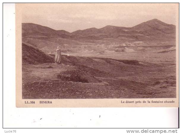 BISKRA -  Le Désert près de la Fontaine Chaude - n° 164
