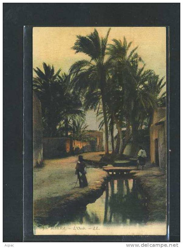 ...BISKRA ...l'Oasis,animee, couleur