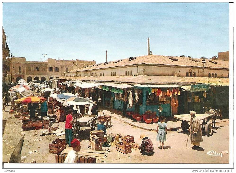 BISKRA - 