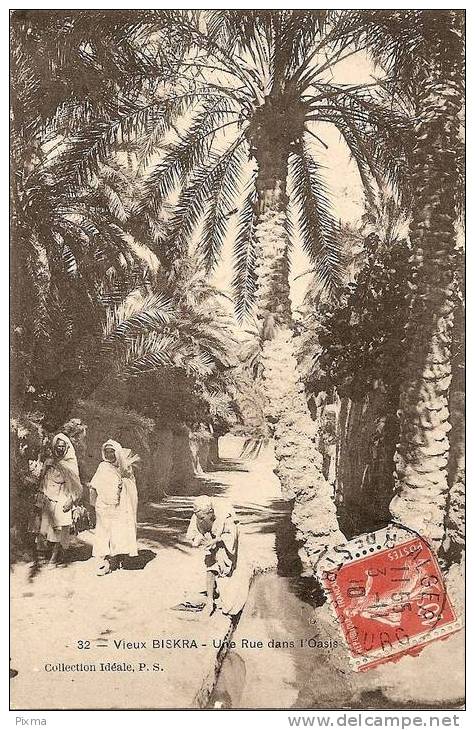 Vieux BISKRA - Une Rue dans l´Oasis - 32
