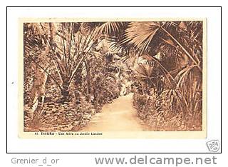 biskra une allee du jardin landon