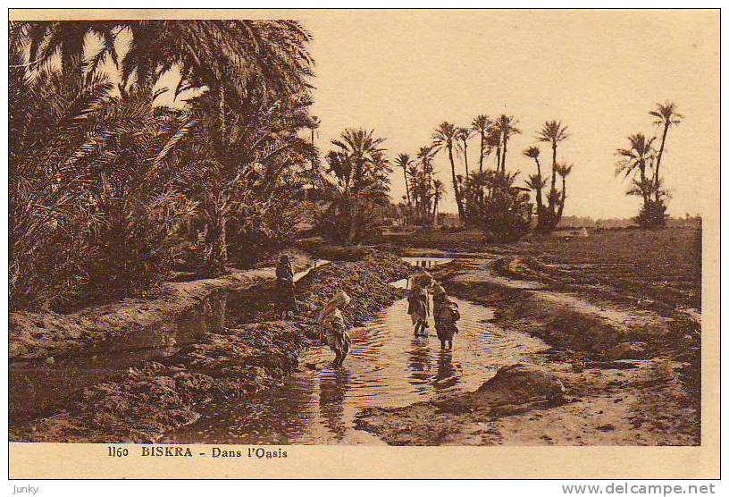Algérie - Biskra - dans l'oasis