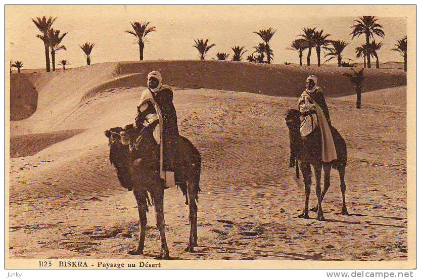 Algérie - Biskra - paysage au désert (animée)