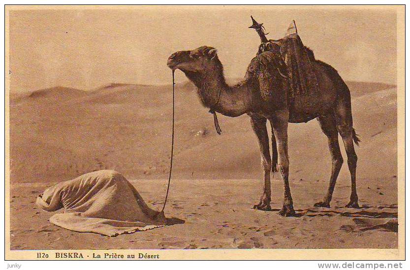 Algérie - Biskra - la prière au désert