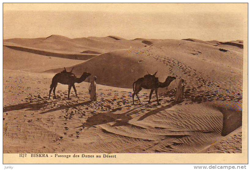 Algérie - Biskra - passage des dunes au désert