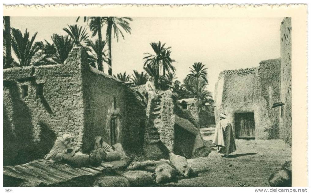 Biskra - habitations dans l´oasis de Palmiers Dattiers - LL   - jz96