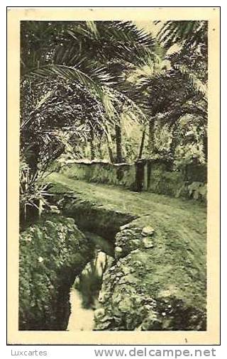 22/26. DANS LE VIEUX BISKRA.