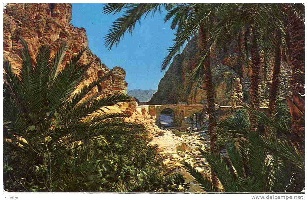 algerie carte postale biskra les gorges pont palmier ut TBE
