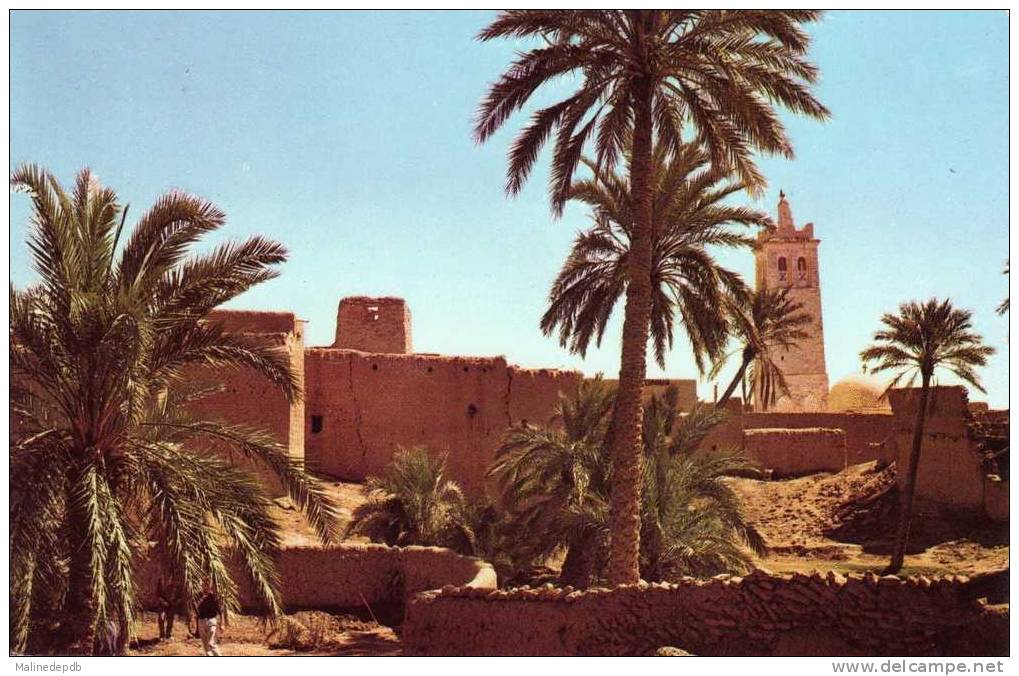 CPA Environs de BISKRA ALGERIE