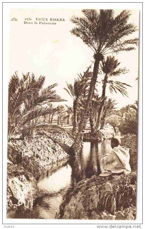 ALGERIA - 0091 Vieux Biskra - Dans la Palmerale