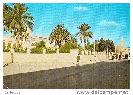Biskra rue principale 1978  CPSM ou CPM
