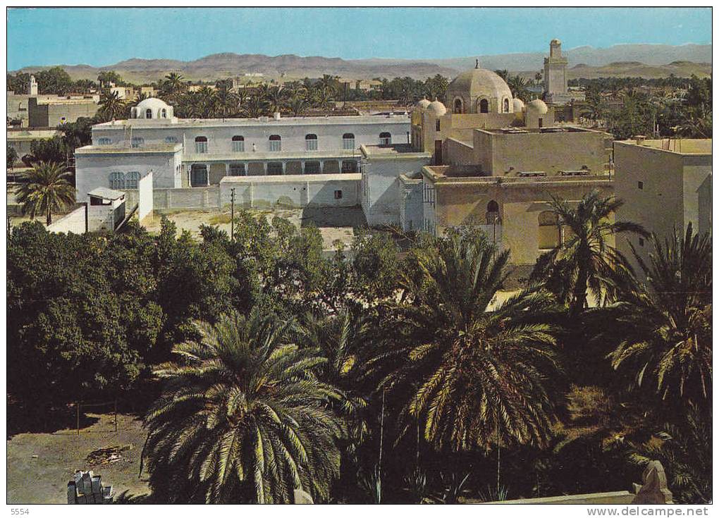 cpsm   algerie   biskra vue generale