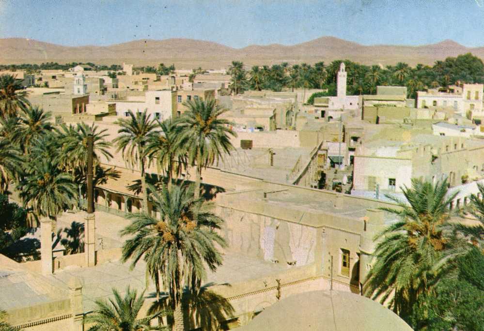 ALGERIE    BISKRA  Vue generale