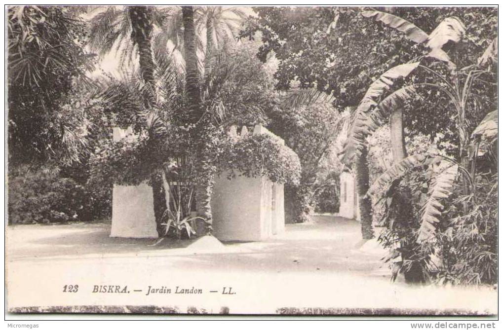 BISKRA - Jardin Landon